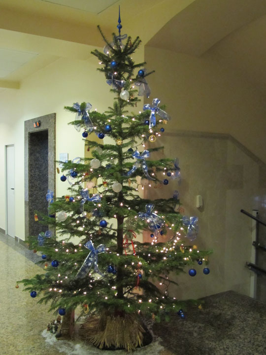 Okićeno božićno drvce na HKS-u