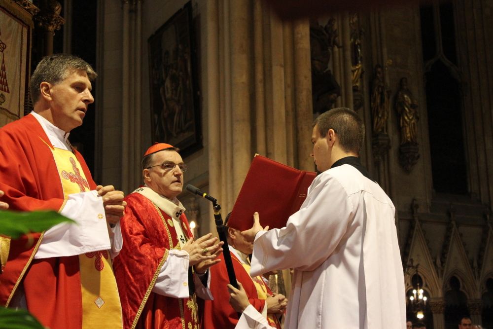 Kardinal Bozanić: Unosite Evanđelje u Sveučilište
