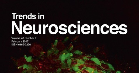 Najnoviji članak Tomislava Domazeta Loše u “Trends in Neurosciences”