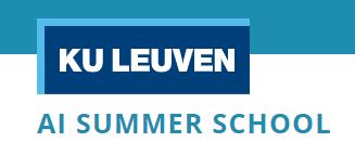 Ljetna škola u Leuvenu