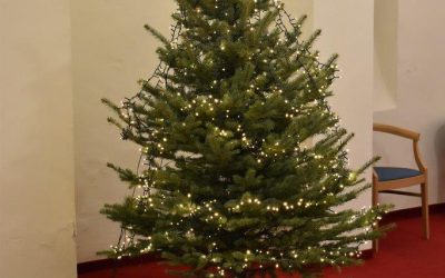 Kićenje božićnog drvca na Hrvatskom katoličkom sveučilištu